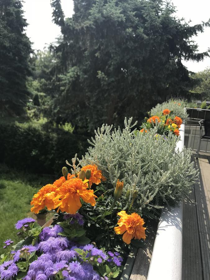 Apartmenthaus Sonnen Düsseldorf Extérieur photo